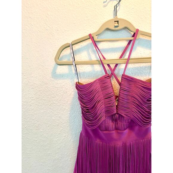 Herve Leger XS Pink Fringe Bandage Dress Midi Holiday $1650 - Picture 4 of 8